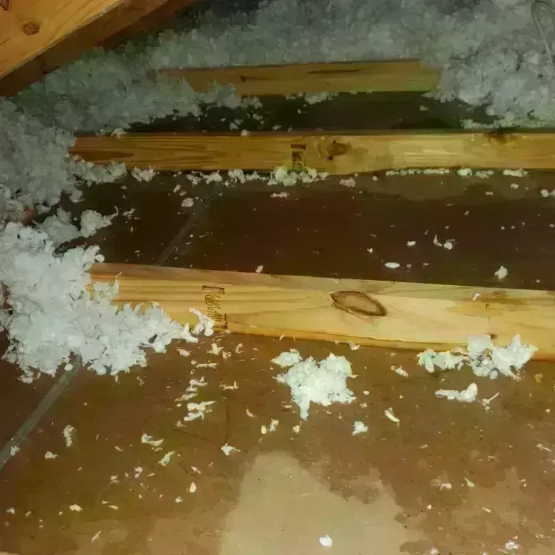 Attic Water Damage in Grand Isle, LA